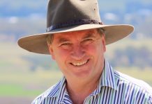 Deputy PM visits Noosa