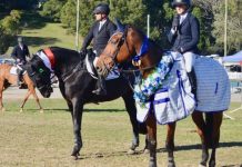 Reaching Olympic heights