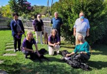 PTSD dogs are four-legged marvels