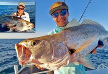 Clearer times to come