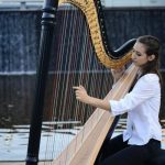 harp_243583_02.jpg