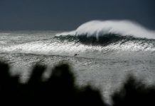 Waxhead’s lockdown swell