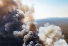 Noosa prepares for a safer summer