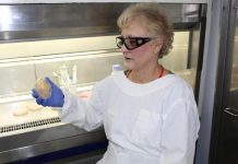 Sea foam expert sought for Turkish outbreak