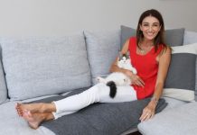 PetSafe reveals the surprising top reasons for cat surrender
