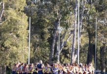 Tigers turned back home