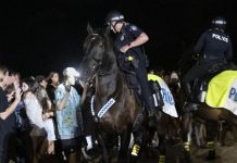 Noosa Today Clarion Award finalist