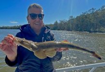 Westerly breezes ease into the weekend