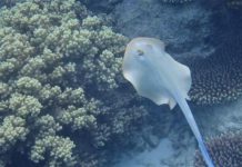 Adventure with purpose