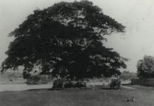 Tewantin’s birthday riddle