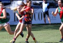 Tigers sign top coach