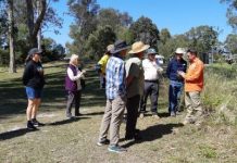 Kauri Park bush care group begins