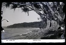 Those marvellous Monks