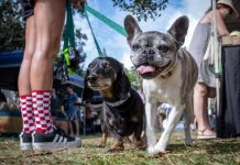 Village Vibes Weekend in Peregian Beach