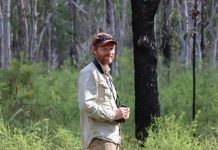 Glossy Black-Cockatoo research in the Noosa Biosphere to provide missing data