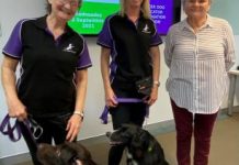 Great response to call for foster homes