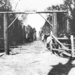 boreen_251317_04.JPG