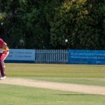 cricket_251213_01.jpg