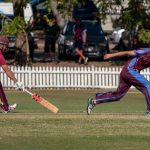 cricket_251213_02.jpg