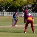 cricket_251213_03.jpg