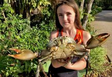 Best time of the year