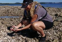 Oyster project halt for state approval