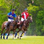 polo_252171_03.jpeg