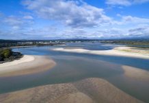 Oyster report approved, funding held