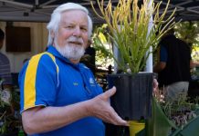 Men’s shed opens up