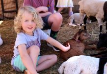 Show a blooming success