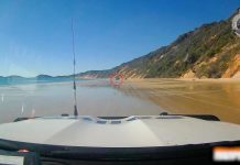 Police out in force targeting beach hooning