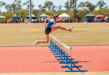 The night of the Dolphins