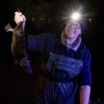 platypus_253450_01.jpg
