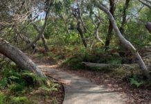 Many bush hands make light work