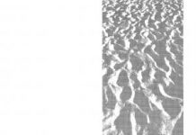 Winner of the Lyn McCrea Drawing Prize announced