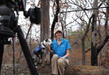 Bear ’nose’ he’s an award-winner