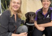 New vehicle will bring relief to PTSD sufferers