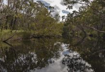 Deadly danger of shallow water blackout