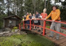 Japanese garden brings serenity