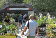 Time for the spring plant sale