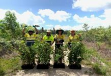 New bushfire recovery projects for Noosa
