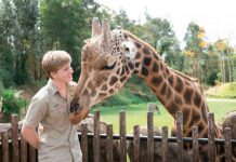 Robert Irwin turns 18