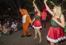 Eumundi extravaganza grows