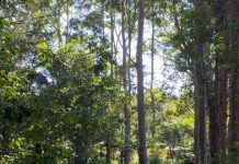 School holiday fun this Summer