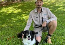 Dog attacks on the increase