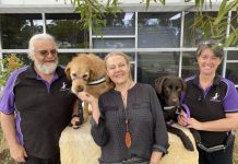 Funding for volunteers to help Noosa thrive