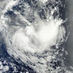 brine_261083_01.jpg
