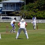 cricket_260959_01.JPG