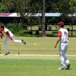 cricket_260959_02.JPG