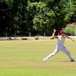 cricket_260959_03.JPG